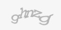 Защитный код